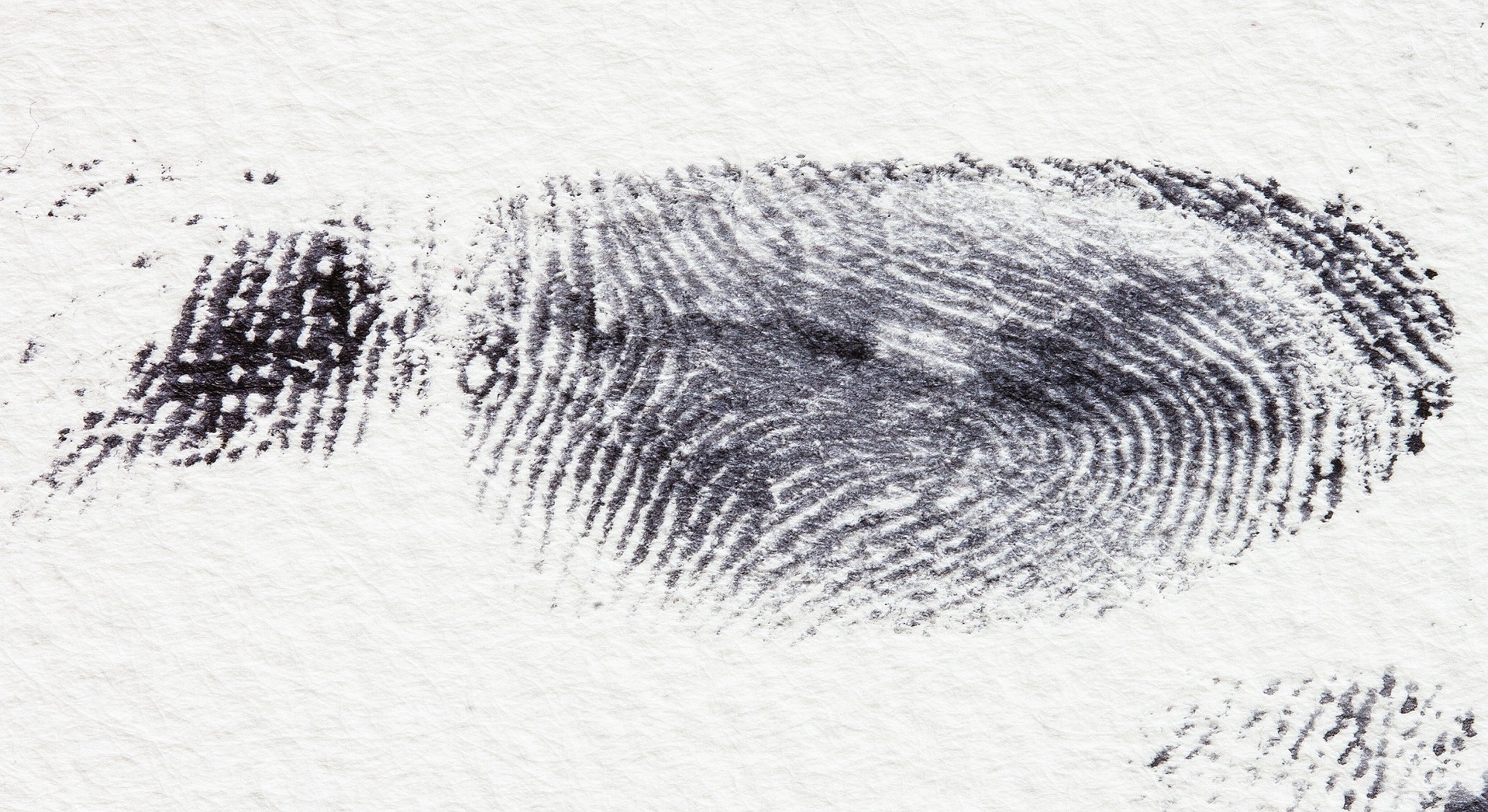 fingerprint-255897_1920